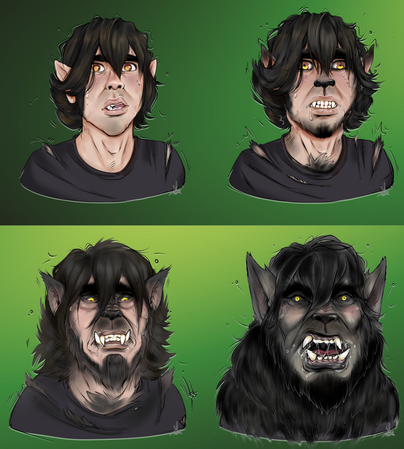 Werewolf V TF Portrait Sequence Werewolf V TF Portrait Sequence